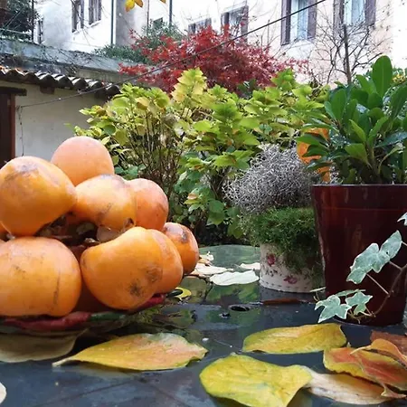 Casa Pusterla Venedik